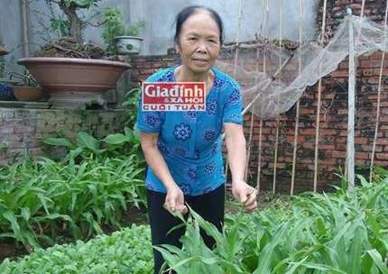 Phát hiện bất ngờ về cây thuốc quý trong vườn nhà giúp người phụ nữ tự trị bệnh ung thư 1