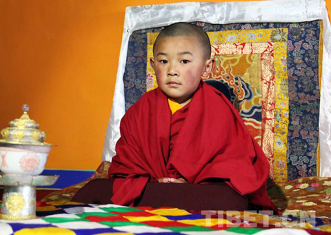 Những chuyện lạ thu h&uacute;t nhất năm 2012 (1) 4