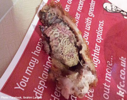 R&ugrave;ng m&igrave;nh thấy "mảng n&atilde;o" trong miếng g&agrave; KFC 1