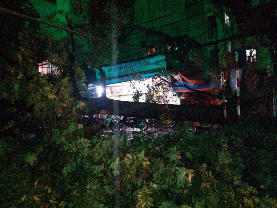 Hà Nội mưa giông lớn, cây đổ đè bẹp ô tô nằm ngổn ngang trên các tuyến phố, 1 tài xế taxi tử vong 14