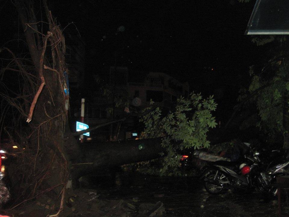 Hà Nội mưa giông lớn, cây đổ đè bẹp ô tô nằm ngổn ngang trên các tuyến phố, 1 tài xế taxi tử vong 1