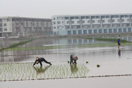 Dự thảo Luật Đất đai sửa đổi: Sẽ sửa đổi thủ tục cưỡng chế thu hồi đất 1