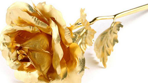 Ch&aacute;y h&agrave;ng qu&agrave; độc Valentine 2