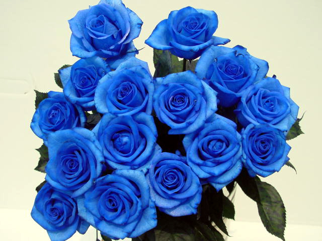 Ch&aacute;y h&agrave;ng qu&agrave; độc Valentine 1