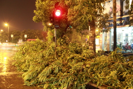 Ch&ugrave;m ảnh: H&agrave; Nội "tan n&aacute;t" sau trận mưa to, gi&oacute; lớn 7