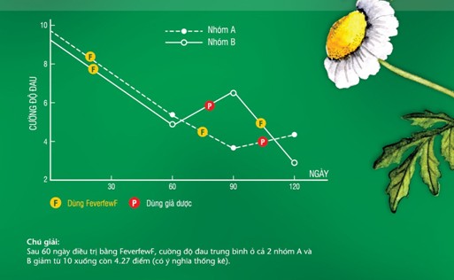 Giải pháp mới cho bệnh đau nửa đầu 2 Giải pháp mới cho bệnh đau nửa đầu 2
