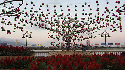 Đường hoa 17 tỷ đồng khoe sắc b&ecirc;n s&ocirc;ng H&agrave;n 4