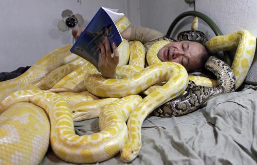 &Ocirc;m rắn ngủ để đ&oacute;n Tết 1