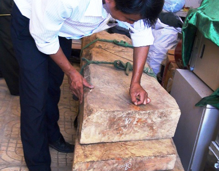 Đổ x&ocirc; truy t&igrave;m gỗ sưa tiền tỷ 1