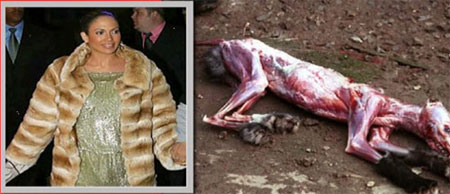 R&ugrave;ng m&igrave;nh những h&igrave;nh ảnh rợn t&oacute;c g&aacute;y trong tuần 4