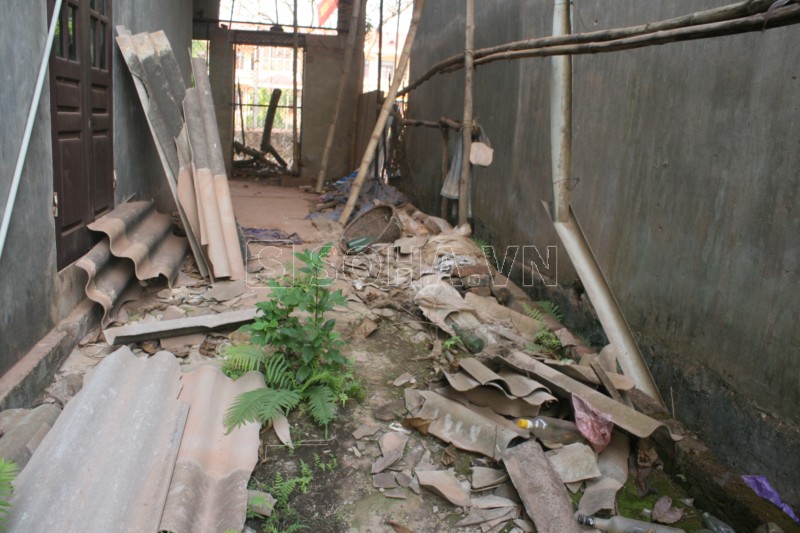 R&ugrave;ng m&igrave;nh những h&igrave;nh ảnh rợn t&oacute;c g&aacute;y trong tuần 2