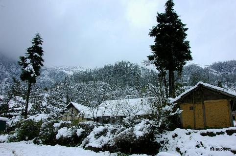 Tuyết phủ trắng x&oacute;a cao nguy&ecirc;n đ&aacute; Đồng Văn 1