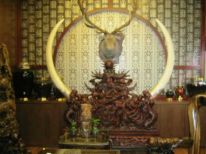 Chuyện chưa kể  về những di vật trong dinh Thống Nhất 2