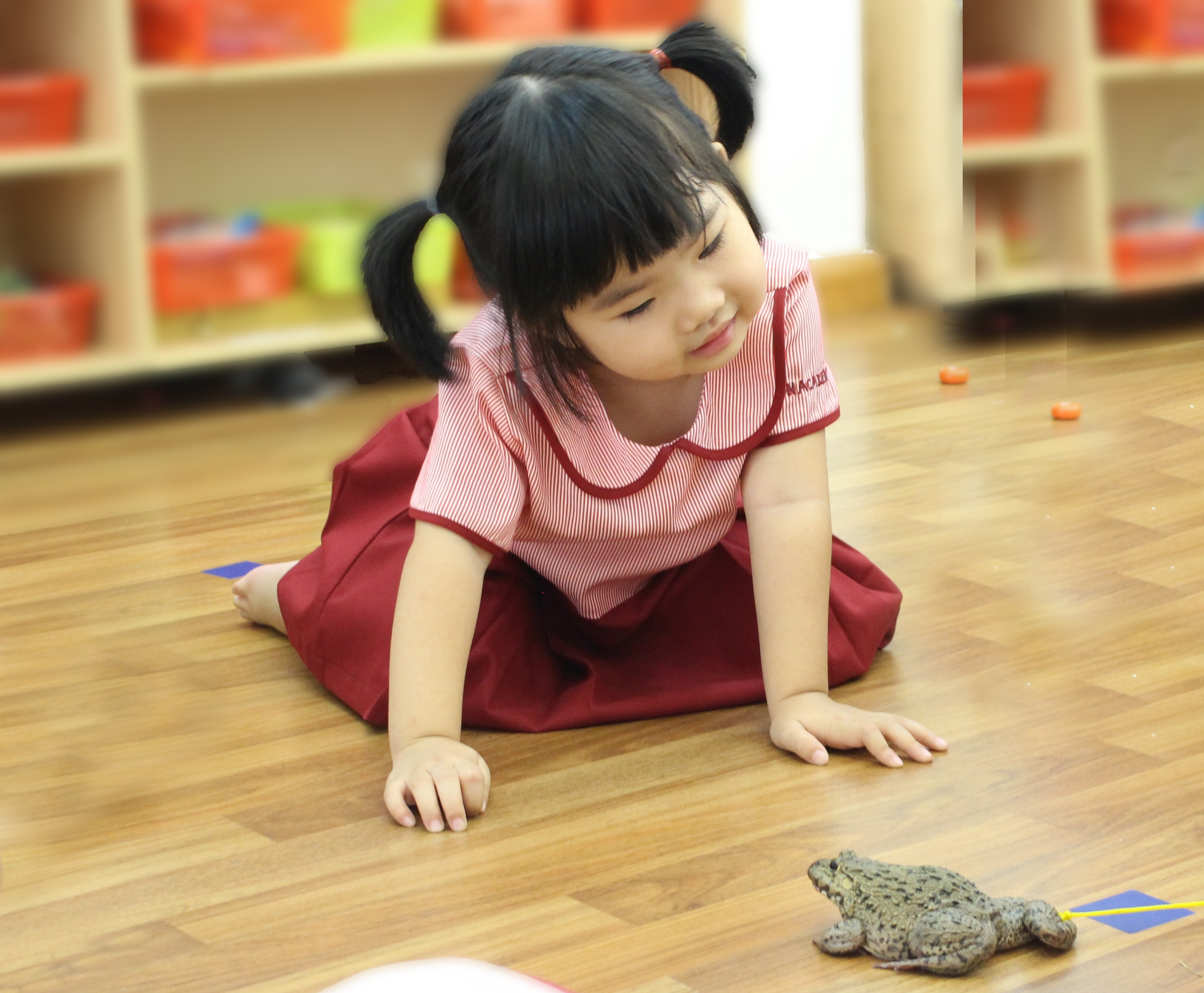 Cha mẹ h&atilde;y học c&aacute;ch chơi c&ugrave;ng trẻ mầm non 2