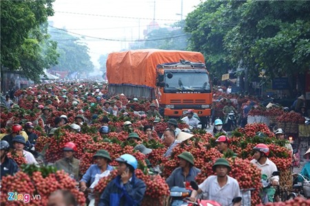Hoảng hồn những h&igrave;nh ảnh g&acirc;y r&uacute;ng động trong tuần 4