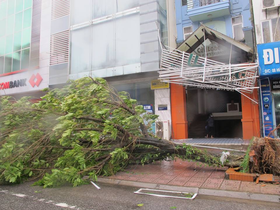 M&oacute;ng C&aacute;i ngổn ngang khi b&atilde;o Thần Sấm đi qua 8