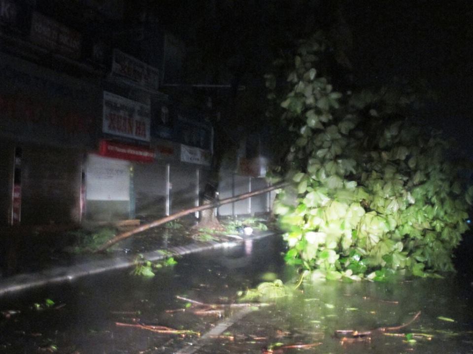 Các địa phương sau bão: Nhà sập, đường ngập, cây đổ la liệt 1