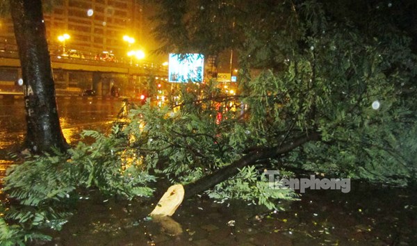Các địa phương sau bão: Nhà sập, đường ngập, cây đổ la liệt 3