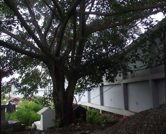 &Acirc;n hận về lỗi lầm trong qu&aacute; khứ, người đ&agrave;n &ocirc;ng nghiện ngập t&igrave;m đến mộ bố tự tử 1