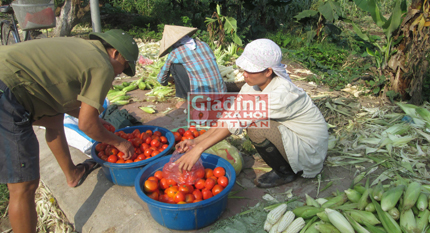 Cuộc sống bần hàn của “đại gia” từng một thời “lên xe xuống ngựa” 1