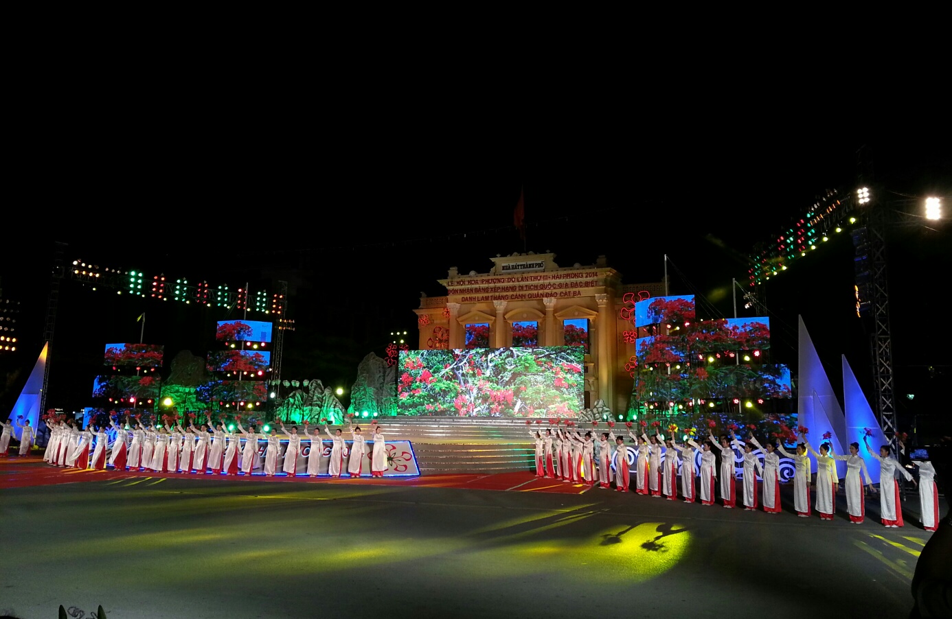 Hải Ph&ograve;ng - Rực rỡ trong sắc m&agrave;u phượng đỏ 2