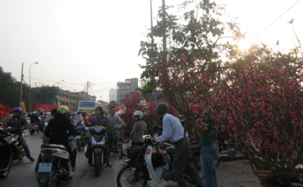 H&agrave; Nội: Người người rạng rỡ du xu&acirc;n trước thềm năm mới Gi&aacute;p Ngọ 3