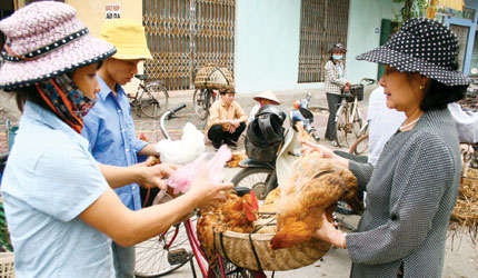 Dịch cúm A/H5N1: Không chủ quan nhưng cũng không nên quá hoang mang 1