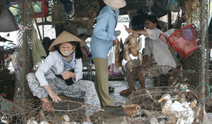 Đề xuất truy tố người bu&ocirc;n lậu gia cầm 1