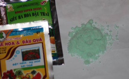 Đến l&agrave;ng rau săn thuốc &ldquo;k&iacute;ch phọt&rdquo; 1