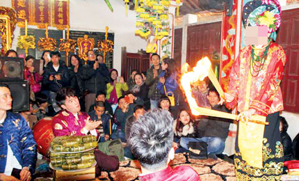 Kiếm bộn từ hầu đồng trăm triệu 1