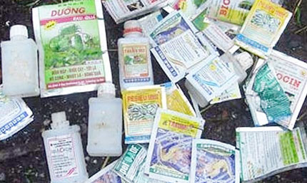 H&atilde;i h&ugrave;ng rau &ldquo;k&iacute;ch phọt&rdquo; 2