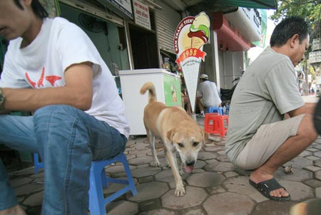 Ch&oacute;, m&egrave;o cũng phải... &ldquo;ch&iacute;nh chủ&rdquo; 1