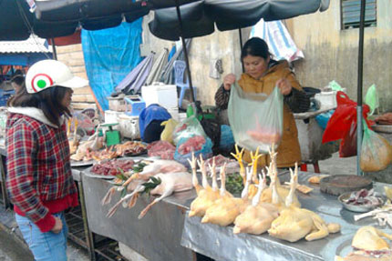 G&agrave; rụng l&ocirc;ng cổ, kh&ocirc;ng n&ecirc;n ăn 1