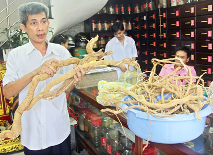 Thực hư về “cây thần dược” chữa ung thư 1