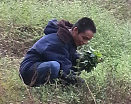 Thủy thủ Việt v&agrave; lời k&ecirc;u cứu từ Ấn Độ 1