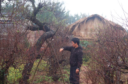 Đ&agrave;o kh&ocirc;ng sợ r&eacute;t, chỉ lo d&acirc;n &iacute;t tiền 1