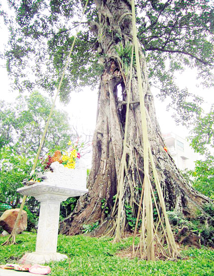 "Thần x&agrave;" g&acirc;y hoang mang  1