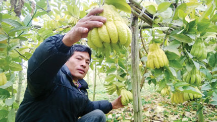 Làng tỷ phú nhờ “bàn tay Phật” 1