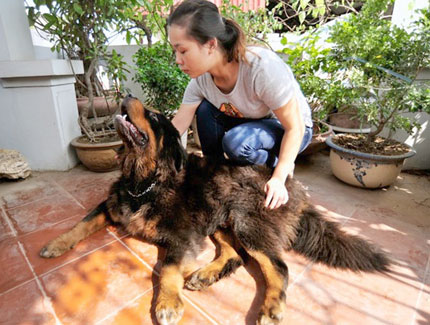 Không thể khẳng định động vật có luân hồi, báo oán! 1 Không thể khẳng định động vật có luân hồi, báo oán! 1