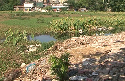 Hà Nội: Hồ Linh Quang bị ô nhiễm nghiêm trọng 1