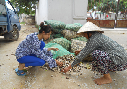 D&acirc;n b&aacute;n nh&agrave; v&igrave; ngao 2