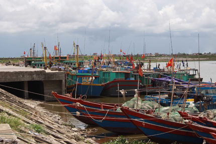 Ho&atilde;n mọi hoạt động, lo chống b&atilde;o số 2 1