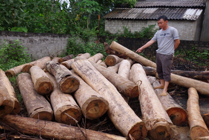 Về “thủ phủ vàng” nghe chuyện xử lâm tặc 1