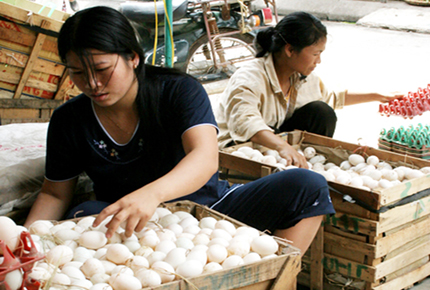 Gi&aacute; xăng giảm, người ti&ecirc;u d&ugrave;ng vẫn khổ 1