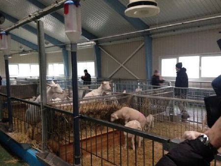 Cho&aacute;ng v&aacute;ng trước dinh thự si&ecirc;u lộng lẫy của Tổng thống Ukraine  13