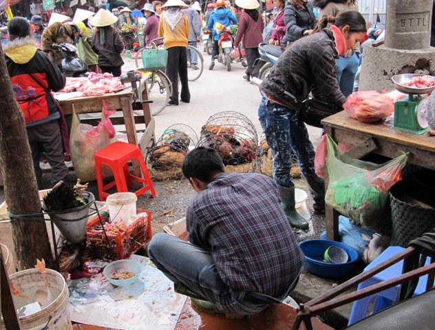 Người dân cần hiểu biết đúng và không nên hoang mang về dịch cúm AH5N1 1