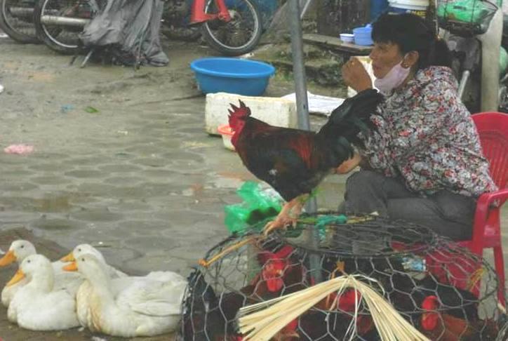 Thị trường Hà Nội trước bão Haiyan: Người bán sốt sắng, người mua thờ ơ 3
