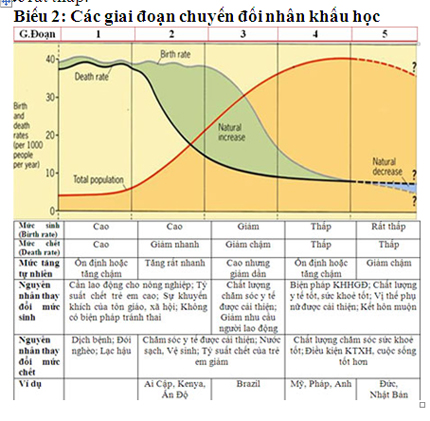 Mức sinh thấp - Tác động và kinh nghiệm các nước trên thế giới  3