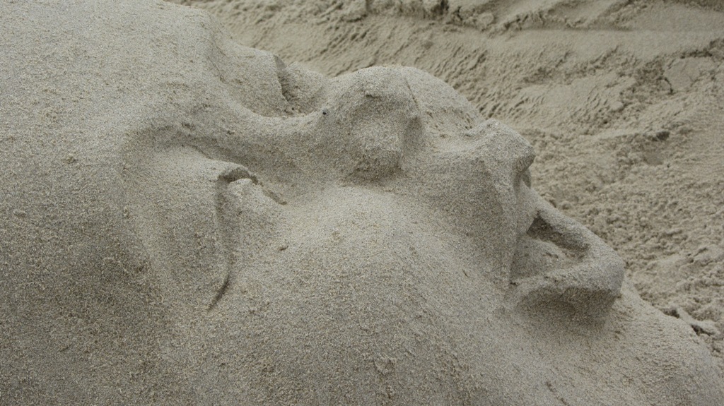 Kỳ diệu "tượng lạ" trên bãi biển Đà Nẵng 18