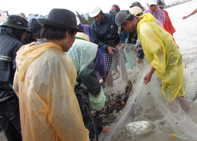 Ngư dân Đà Nẵng mạo hiểm bắt cá giữa mưa bão Haiyan 12